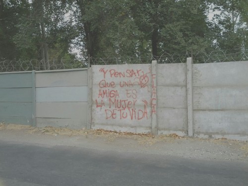 tumblr photo bigorsmall-lies 0