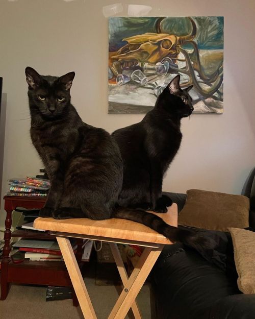 My pandemic era kitten brothers posing in front of one of my #paintings I made in 2011/2012. . . #