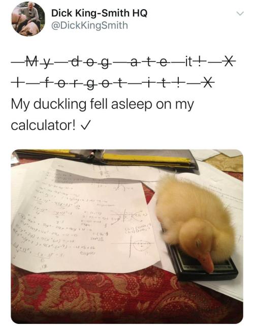 everythingfox:quackulator(via)