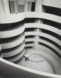 Robyn-Mizrach:  The Guggenheim, Almost Empty - 1959 - Ezra Stoller.   Lines