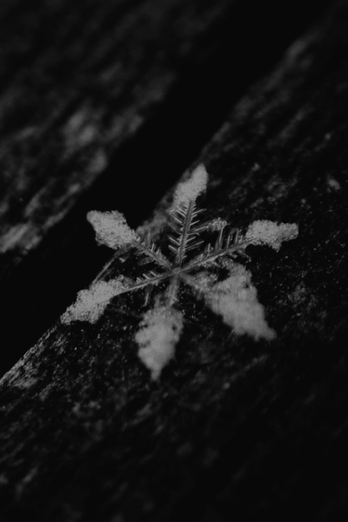 snowflake