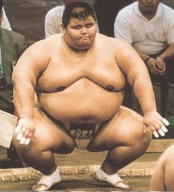 hamasumo:  What a sumo wrestler !! this guy