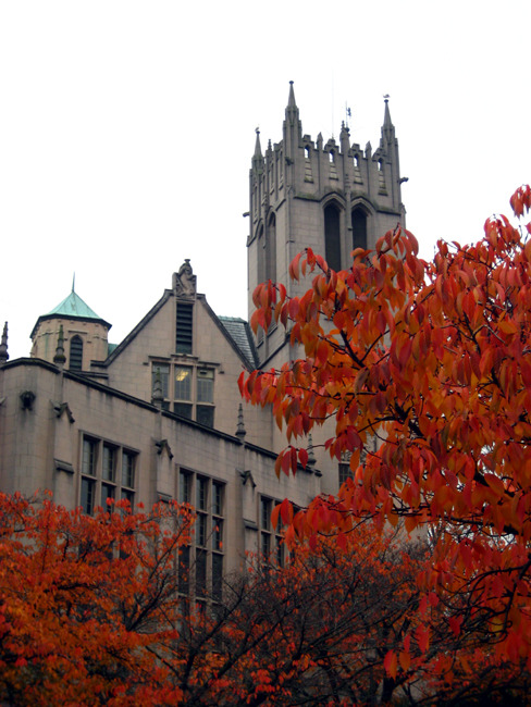 Autumn, University of Washington campus.