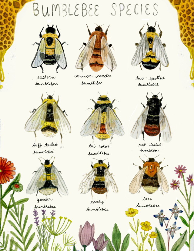 Happy Solstice! Hope everyone is able to get outside today and thank a bee for all their hard work. This print is available here