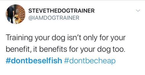 Training doesn’t only benefit you, it benefits your dog as well. It gives both parties freedom, conf