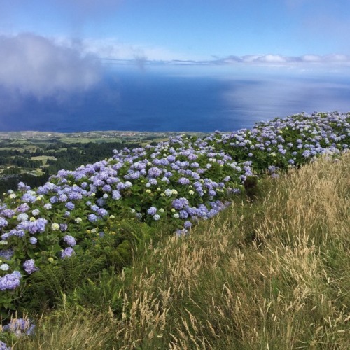 mypasalacqua:i’m in Azores right now! the most beautiful place i’ve ever seen in my enti