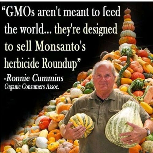 #sayNOtoGMO #monsantokills #youarebeingpoisoned #openyoureyes #thinkaboutit #toxicslop #stopeatingth