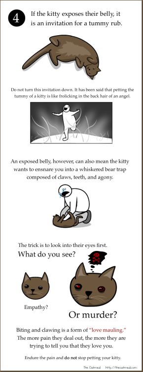 evidious:  chaoticbanter:  catsbeaversandducks:  Comic by ©The Oatmeal  I laugh, but it’s frighteningly true  Well that was a grim reminder for humanity….our lives are upon your mercy, whiskered beings 