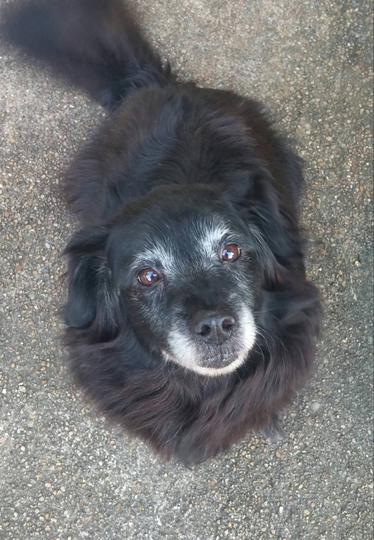 awwww-cute:  14 year old Halle, lookin pretty!