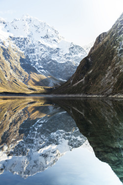 Ziggy-Zagg:  Lvndcity:  Untitled By Abbie Calvert (2013) New Zealand  I Must Go