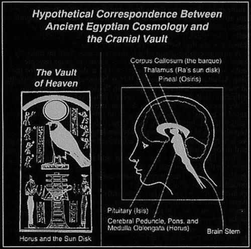 chaosophia218: Hypothetical Correspondence between Ancient Egyptian Cosmology and the Cranial Vault.