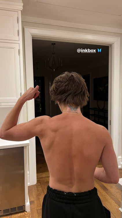 back muscles