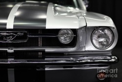 Exquisite Automobiles