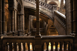 lemonysmut:  Natural History Museum, London by Roodpa 