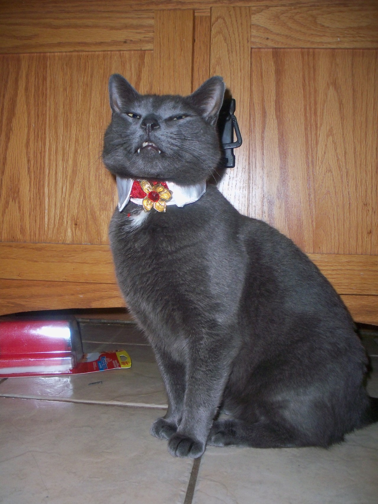 kittymudface:  My dashing vampire. 
