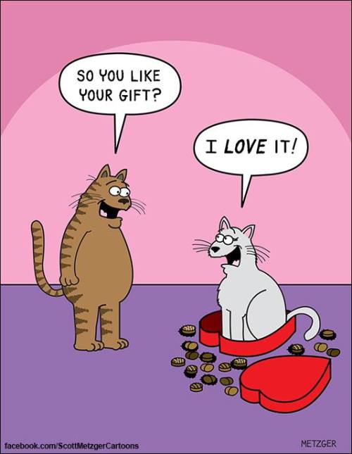 catsbeaversandducks:Cat Comics by Scott Metzger