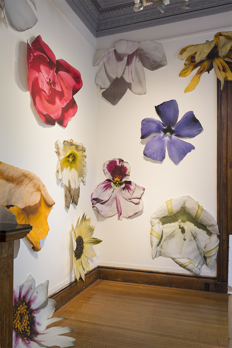 Flowers, Gelman Gallery, Providence, RI (2014) -... | Lustik