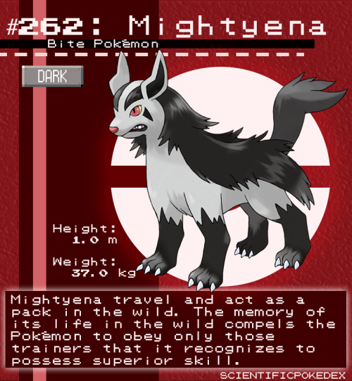 Requested by @bmmi20​According to the pokédex, Mightyena in the wild are often found in packs, trave