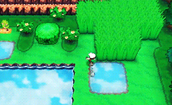 chipsprites:   ORAS: Exploring Hoenn [more] ۞ ~    