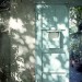 great-and-small:a-sadnoodle:I cannot express how much I adore dappled shadows formed by sunlight in paintings and photography and in real lifeI also adore how this pattern has manifested itself in the form of camouflage for some speciesThe echo of those