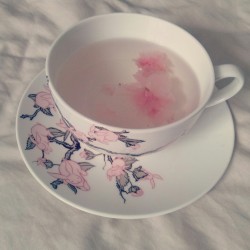 missloliprilly:  My Sakura tea