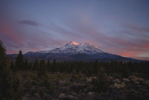 Mount Shasta