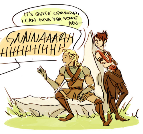 anaeolist:  actual conversations that happen in dragon age 