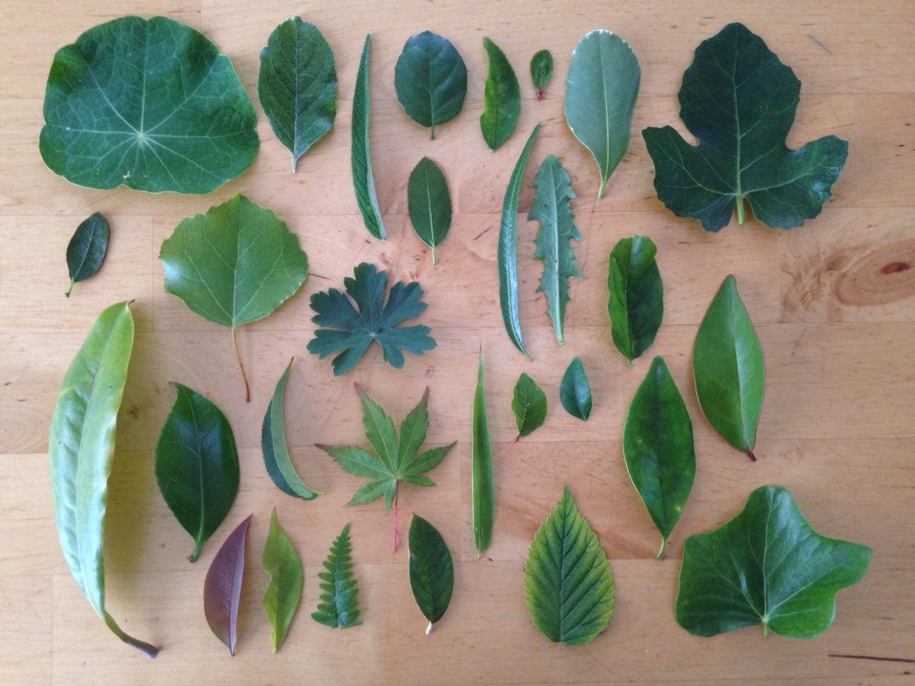 Things Organized Neatly