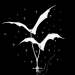 spitblossoms: