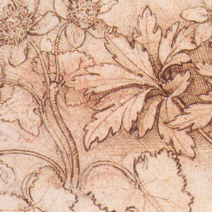 vivalcli:Moodboard: Leonardo da Vinci’s sketches