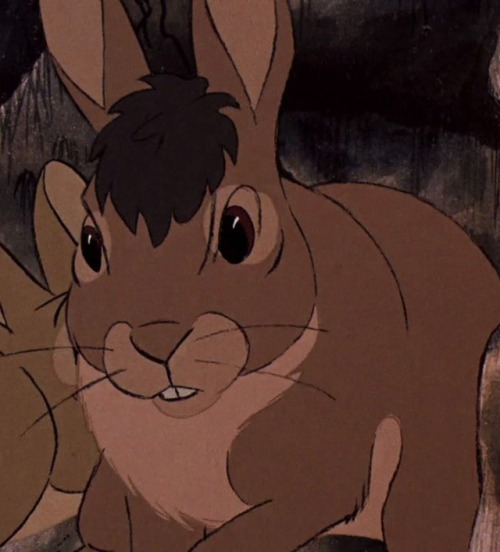 snuggleupagus: We never did anything to deserve Bigwig, but Richard Adams gave him to us and blessed