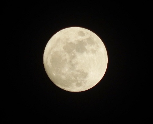 storyoftheviper:  Full Moons 2015