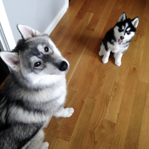 borisandtasha:Beggars  ~ 5.14.14