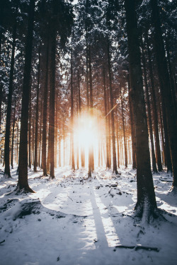 superior-luxxxury:  souhailbog:    First Touch of Winter Light | ©   Johannes Hoehn | More          FOLLOW US ON INSTAGRAM!!!FOLLOW US ON INSTAGRAM!!!FOLLOW US ON INSTAGRAM!!!