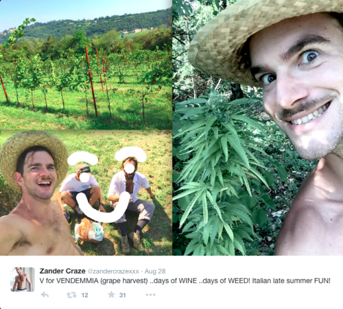 I’m having a nice Labor Day weekend but tbh I wish I were picking weed in a straw hat in Italy with Zander Craze