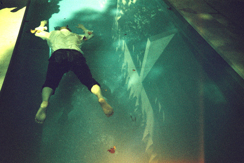 stemss.tumblr.com/post/79867677936/
