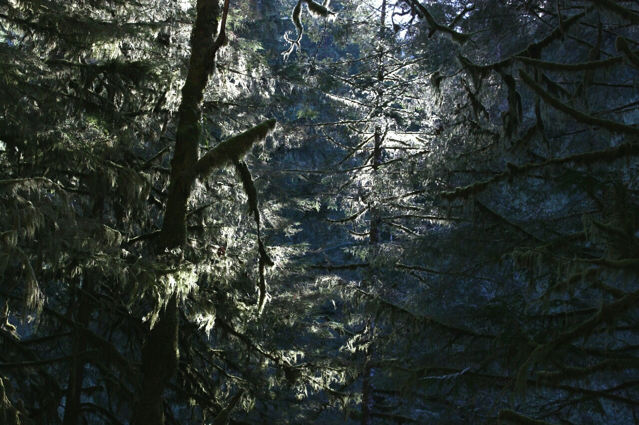 overnitereligion:  eagle creek/punchbowl falls, oregon