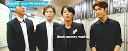 natittazul:  seongstars: english with cnblue