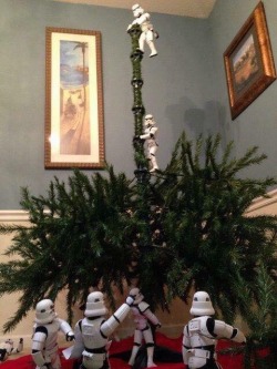 redheaded-girlygirl:sharpdressedd0m-deactivated2023:kittysparkleslove:Mission: Christmas Tree 🎄 Mission Accomplished 🎄I will inform the emperor the tree is fully armed and operational. Time to decorate 🎄 @swarthyvillain 