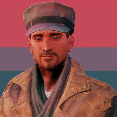 rosecia:Fallout said gay rights!!!! [Warm pride flags by @aroaesflags! Please credit both of us if y
