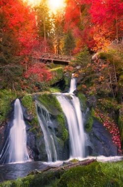 bluepueblo:  Black Forest Waterfall, Triberg, Germany photo via exacht 