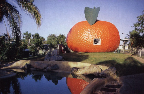 Sex archiveofaffinities:Big Mandarin, Mundubbera, pictures