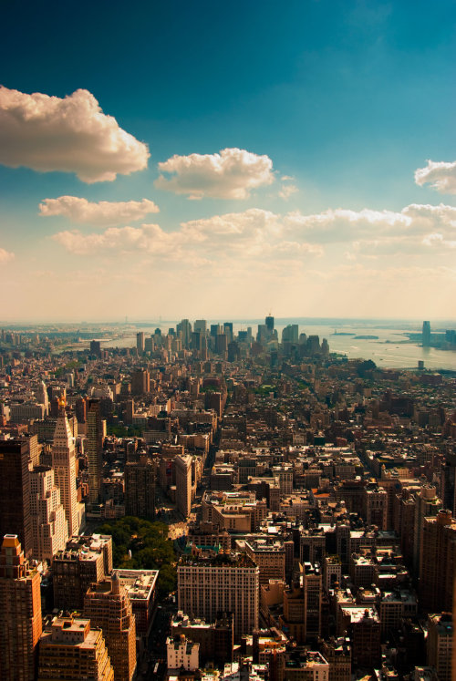 langston-william:  ● Langston-William.tumblr.com