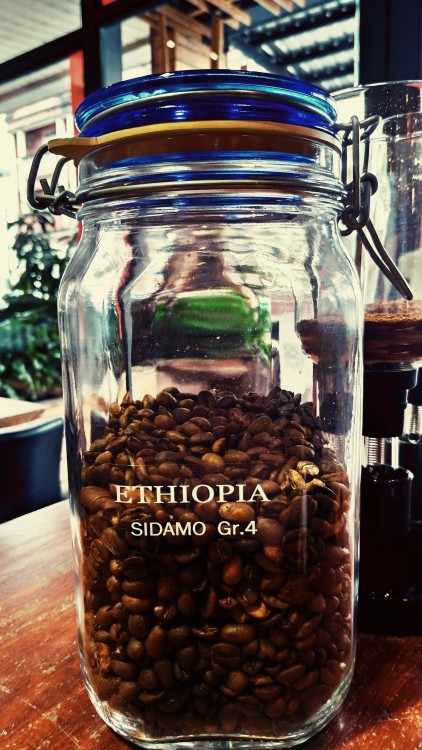 【Ethiopia - Sidamo Gr.4】雖說是非水洗，但是體現在西達摩這個產區卻別有樂趣。整體在乾香的嗅聞或是萃取完的啜飲仍是帶殼烘烤的核果香氣以及乾燥香料的木質調性為骨幹，有些同樣採非水洗的