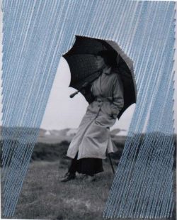vjeranski:  Diane Meyerraining / umbrella