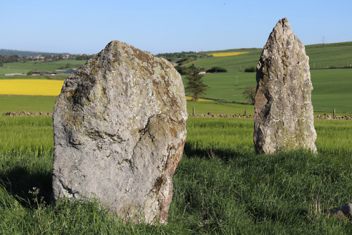 Balquhain Recumbent Stone Circle, Aberdeenshire, 27.5.18.This recumbent stone circle occupies a fant