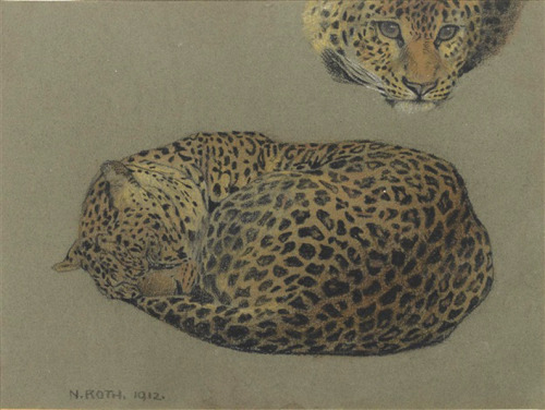 Norbertine von Bresslern-Roth, Study of a sleeping Leopard, 1912. Charcoal, color chalk on paper. Au