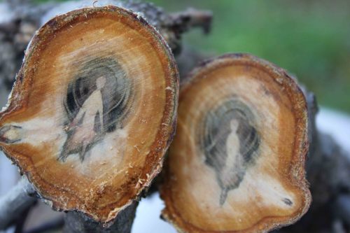 eritrea-lives-in-me:   n0vi:  mushroomomens:  thatfuckingfrenzy:  Tree spirits.  All tree’s have spirit but all tree’s obviously don’t have patterns such as this. I think somebody was trapped in that tree.   holy shit thats so interesting  