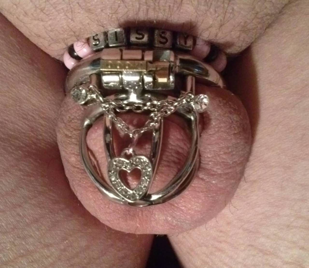 justcaged: tkellississydesires: Thought I would post a few pictures of my little