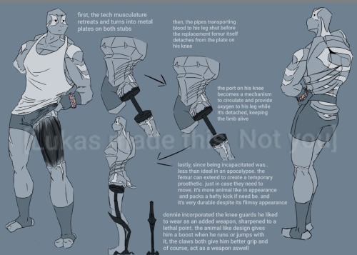 Long Post Ahead! (It Got Out Of Hand, This Is Very Wordy)